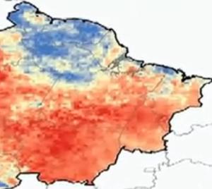 Screenshot from Carnegie Institution of Science video