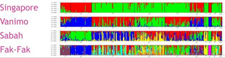 Visual representation of different populations of Merbau in South East Asia (DoubleHelix 2010)