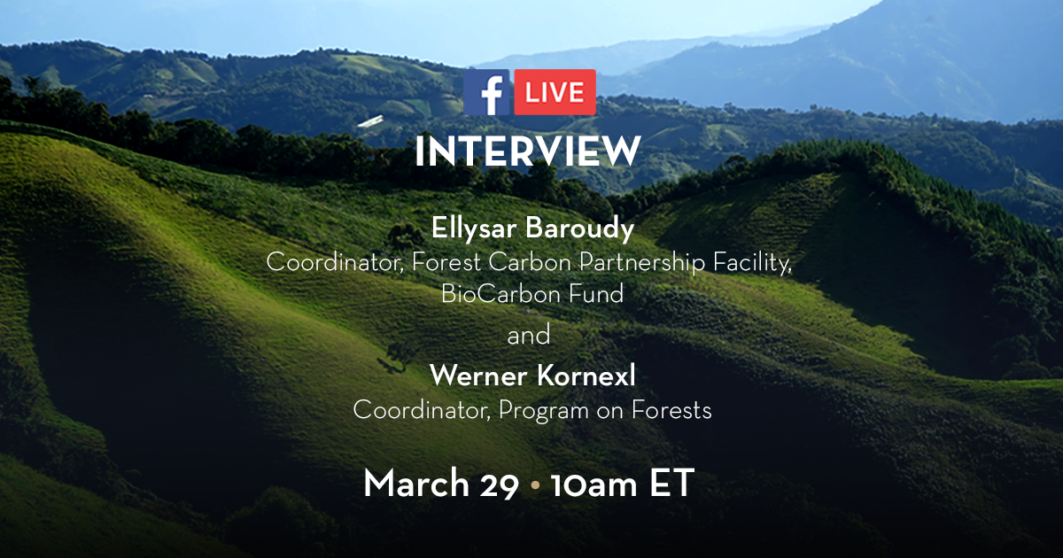 Why forests matter to you and your community: A FaceBook Live interview with PROFOR and the World Bank Why forests matter to you and your community: A FaceBook Live interview with PROFOR and the World Bank