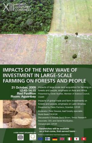 Poster for XIII World Forestry Congress -- Buenos Aires, Argentina