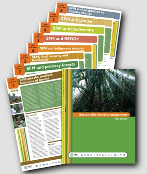 Eight SFM fact sheets produced by the Collaborative Partnership on Forests