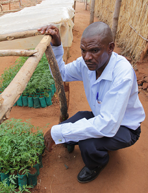 Small and medium forest enterprises are the emerging private sector. Photo by Flore de Preneuf/PROFOR